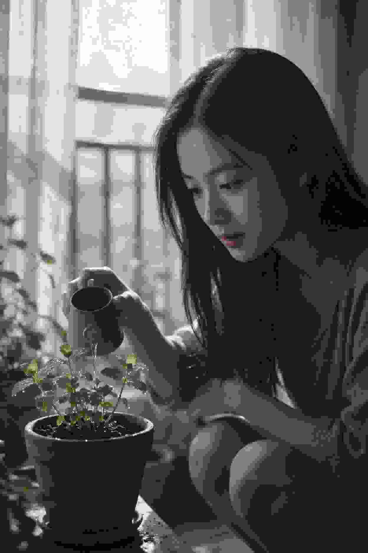 黑暗荣耀